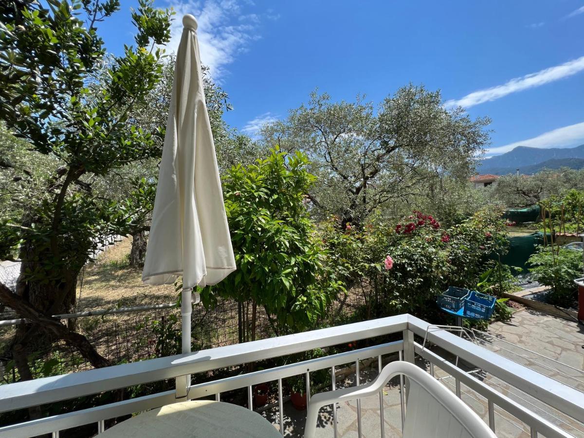 Villa Eleni - Thassos Town المظهر الخارجي الصورة
