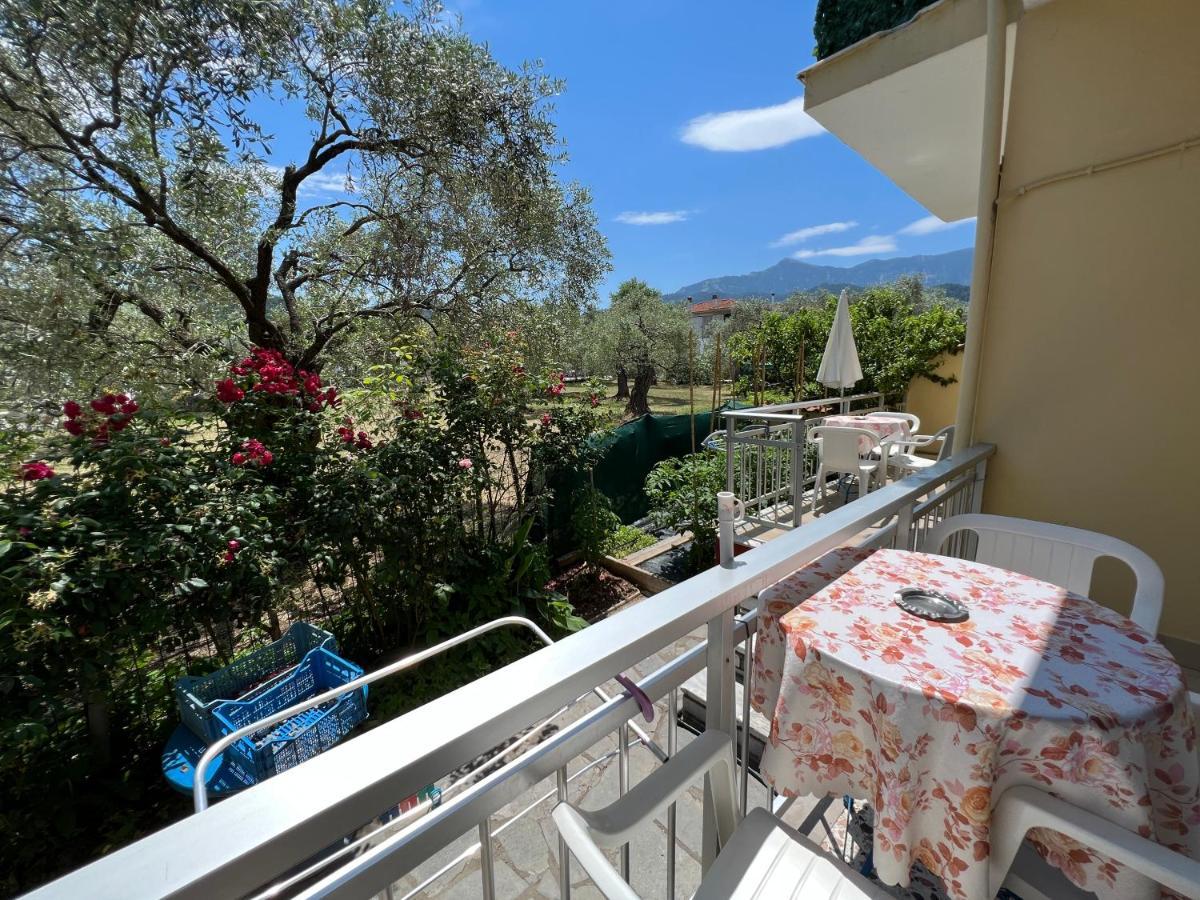 Villa Eleni - Thassos Town المظهر الخارجي الصورة